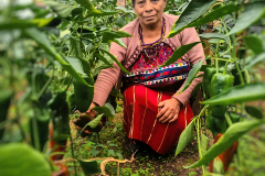 ana-brito-guatemala-post-1x1-1.jpg-nggid03712-ngg0dyn-1500x1500x100-00f0w010c010r110f110r010t010