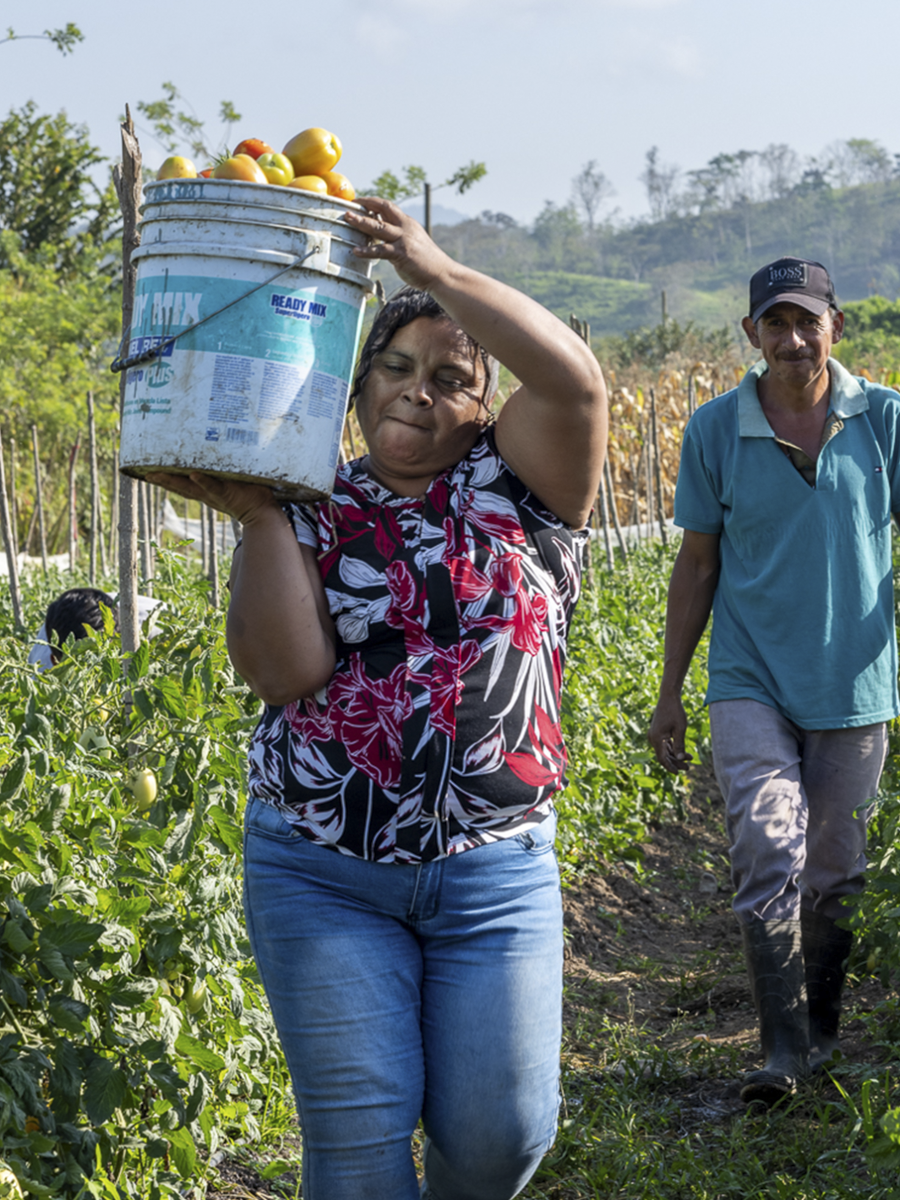 Food + water security