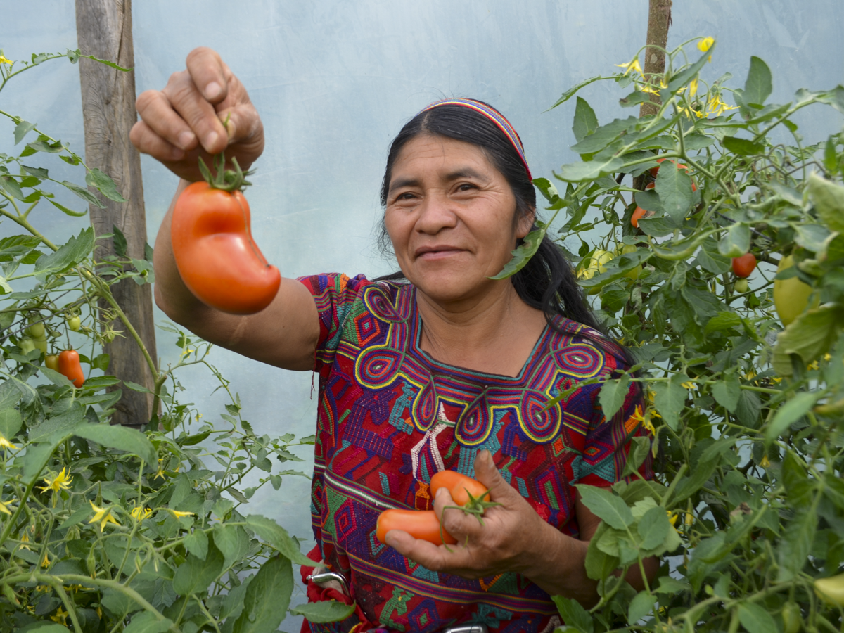 Gardening + nutrition training for one year