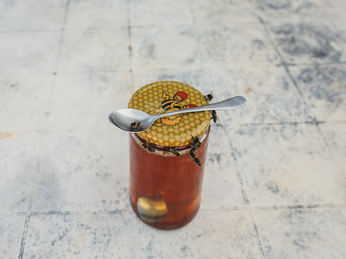 Sugar for bees