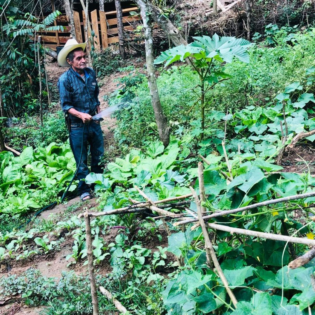 Featured image for “La Bendición: A Farm that Feeds the Rivera Family”